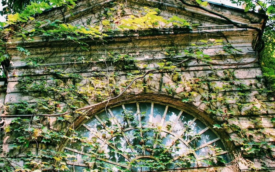 Giardino: ORTO BOTANICO un giardino nascosto tra i palazzi di Brera